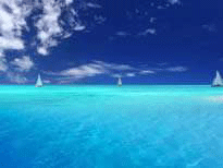 这里是客户案例分类的标题，可以加文字599897299